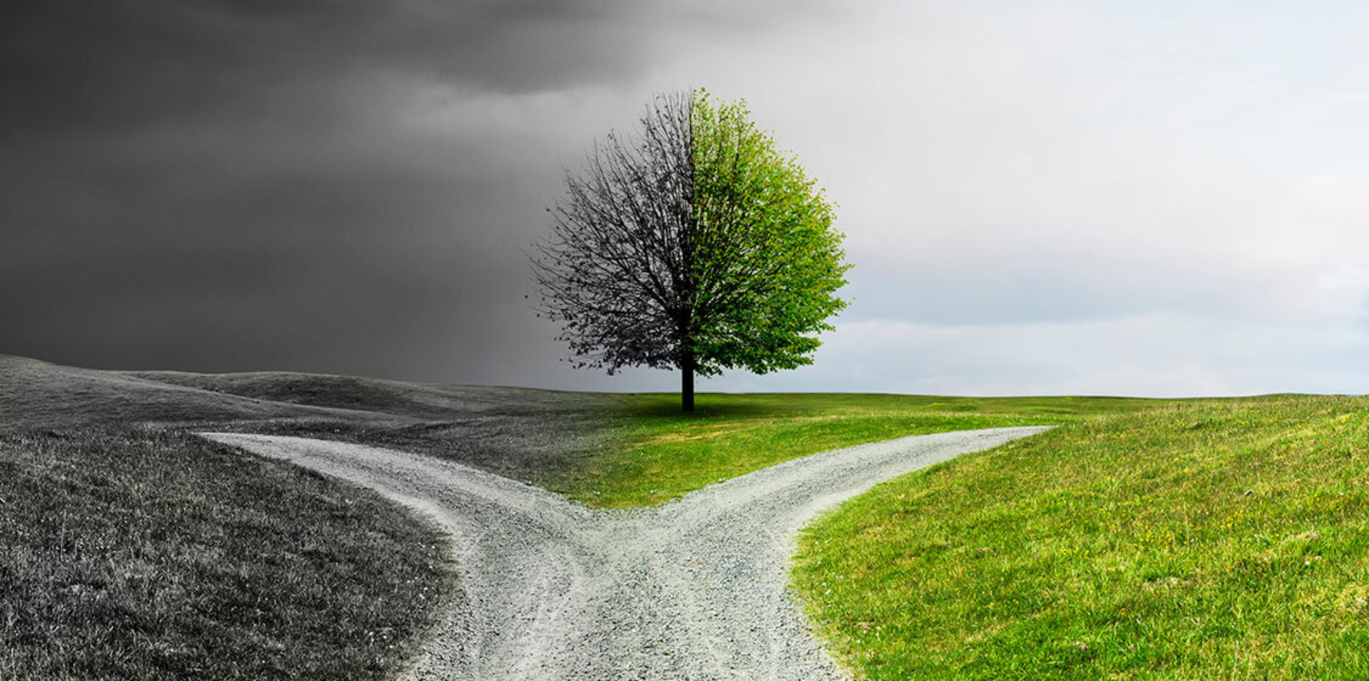Understanding Climate Change and Environmental Awareness Free Online Course