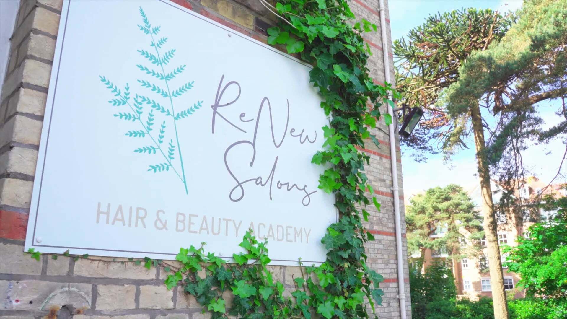 Hair and Beauty thumb