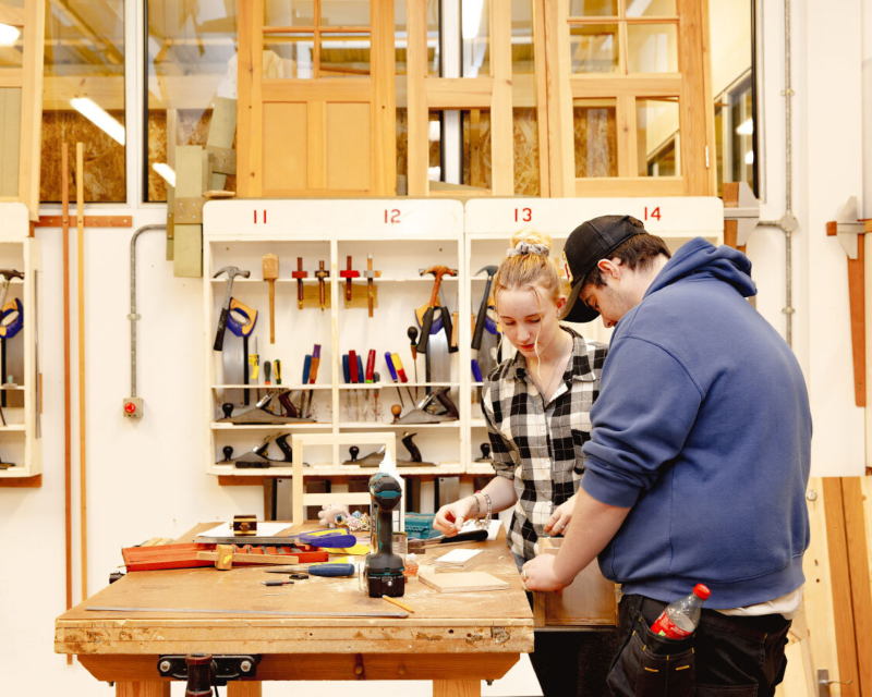 Construction wood 01