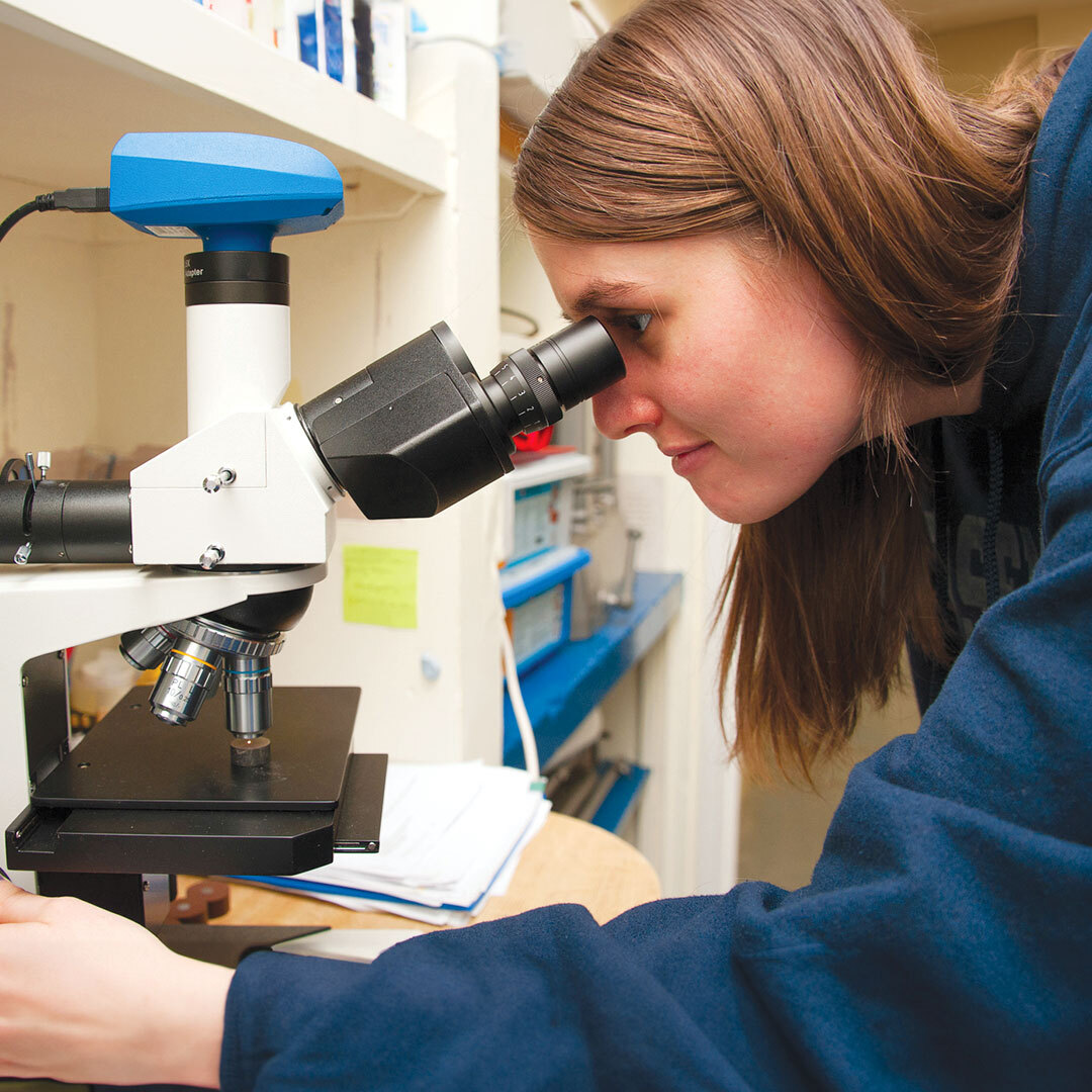 Engineering degree sq