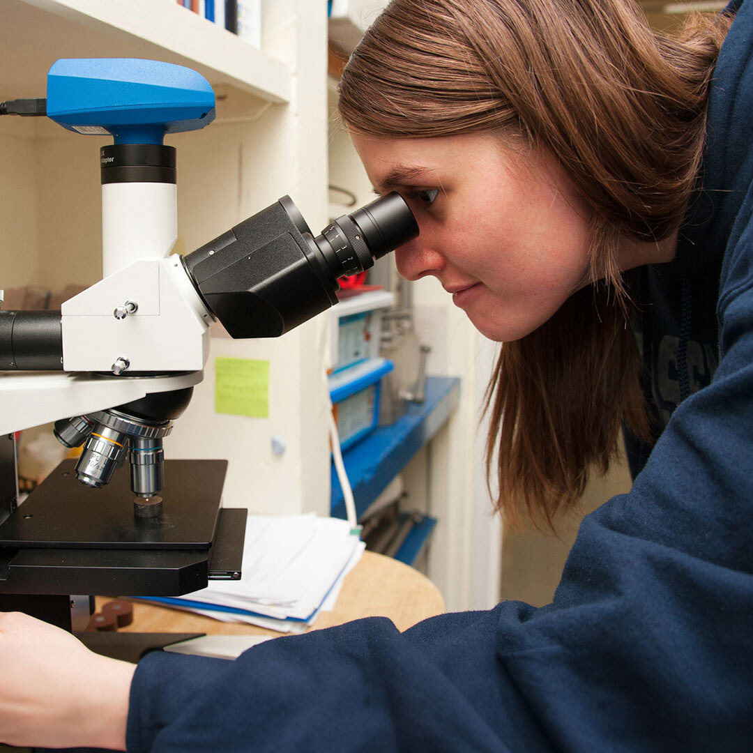 Find a career degree sq